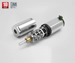 10mm Step Motor