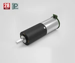 28-mm-Bürsten-Gleichstrommotor