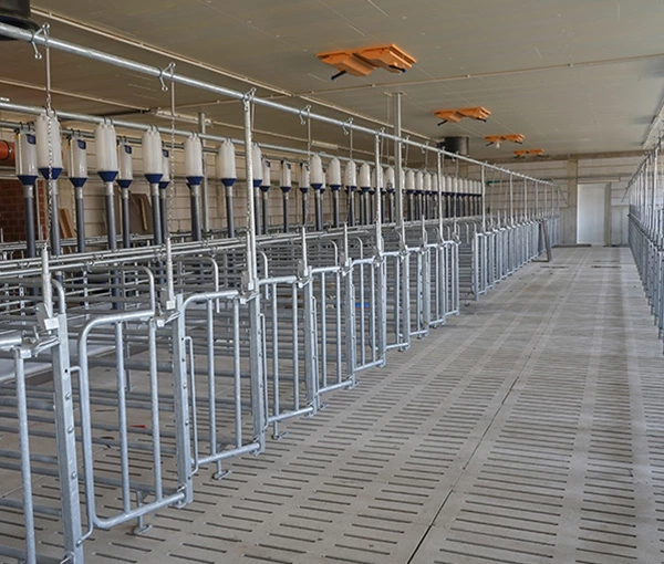 Drive Systems for Automated Feed Mixer