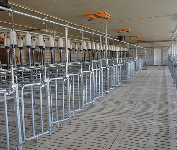 Drive Systems for Automated Feed Mixer