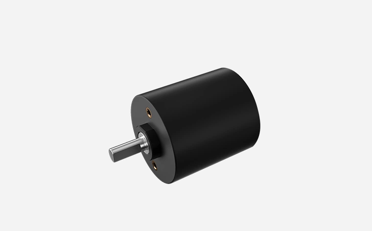 20mm Stirnradgetriebe