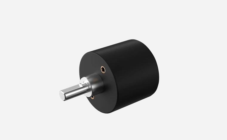 24mm Stirnradgetriebe