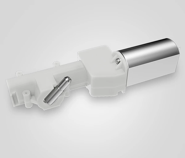 Antriebssystem für Water Flosser