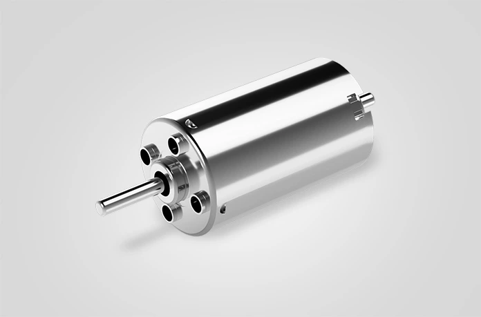 19mm Fırçalı DC Motor