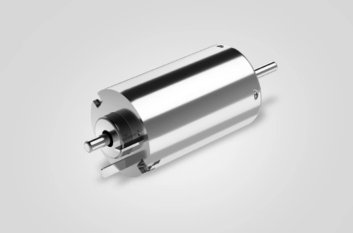 19mm Fırçalı DC Motor