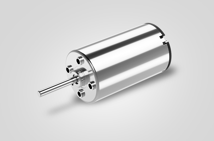 22mm Brushed DC Motor - ZHAOWEI