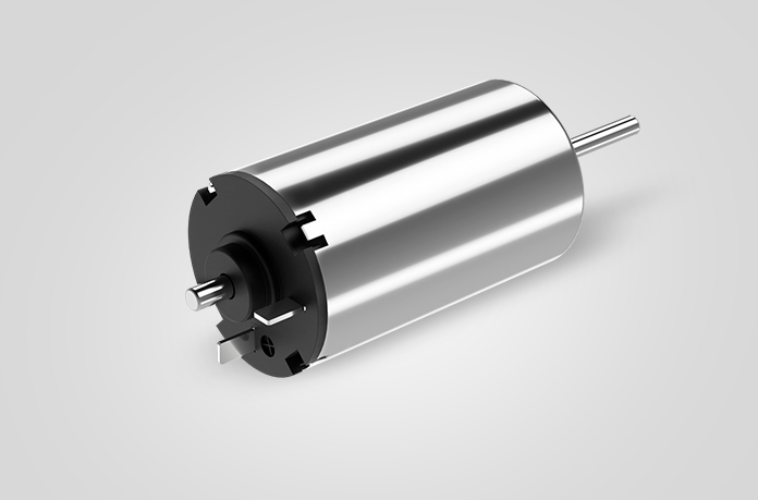 22mm Brushed DC Motor - ZHAOWEI