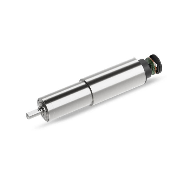 19 mm Brushed DC Motor