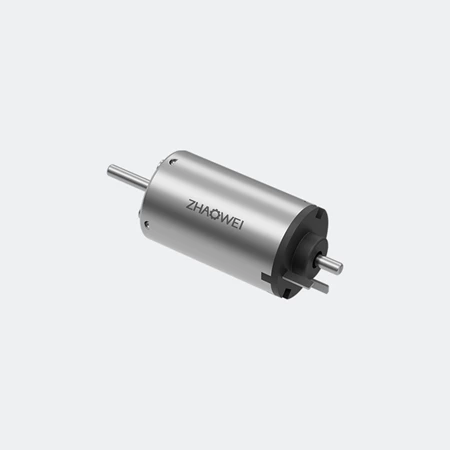 19 mm Brushed DC Motor - ZHAOWEI