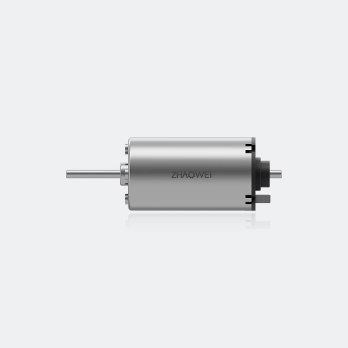 22mm Brushed DC Motor