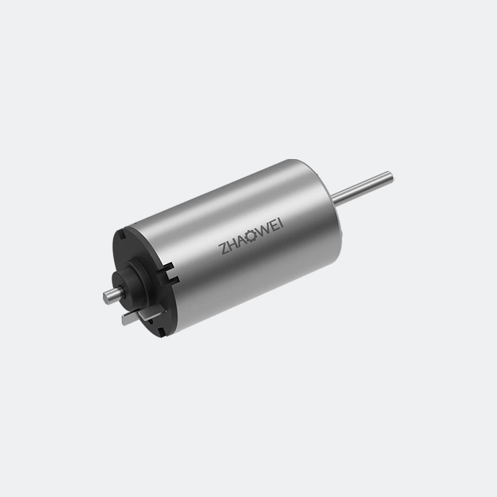 22mm Brushed DC Motor