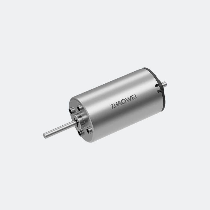 22mm Brushed DC Motor