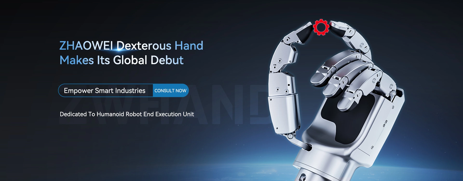 Human robot dexterous hand