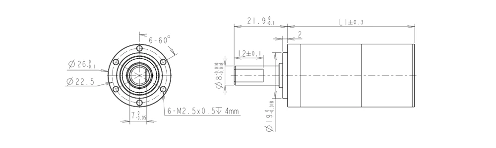 26mm high-preformance gear motor