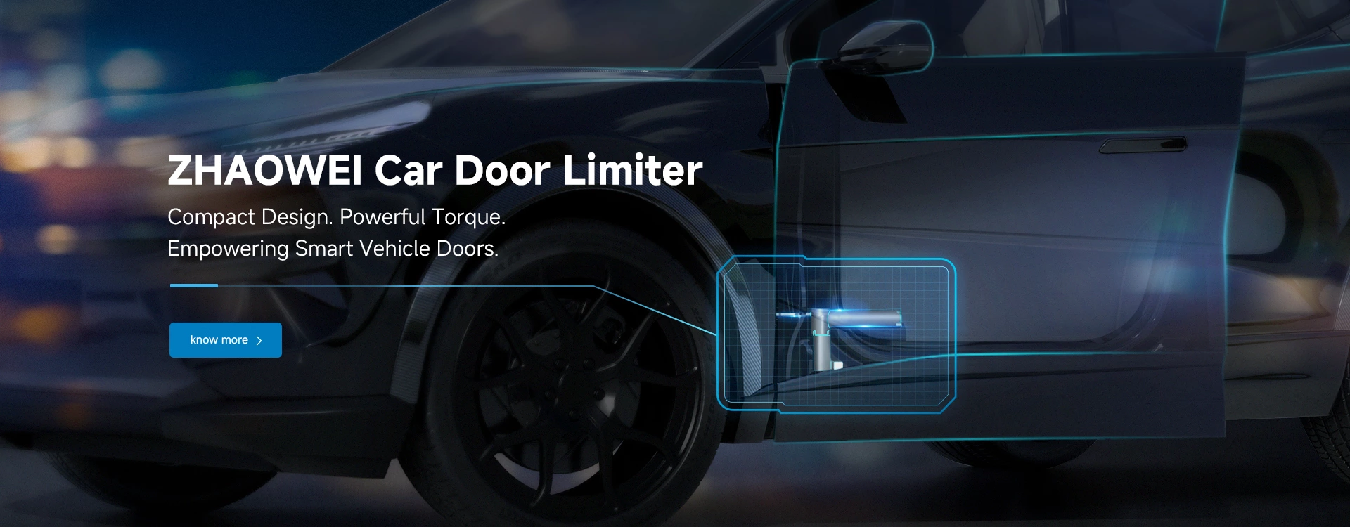 ZHAOWEI Car Door Limiter