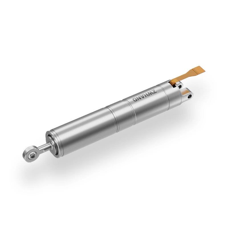 Linear Push Rod Motor For Palm