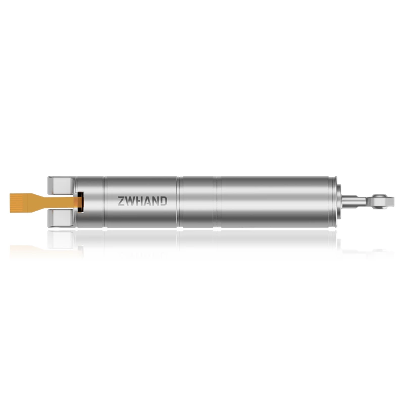Linear Push Rod Motor For Palm