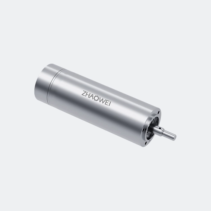 19mm Brushless Coreless Motor