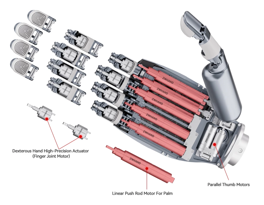 Linear Push Rod Motor For Palm