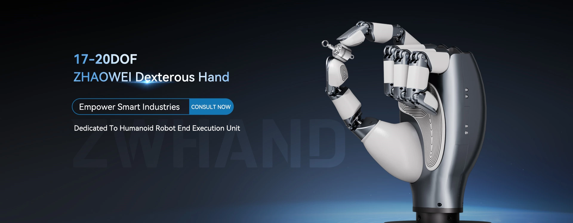 Human robot dexterous hand