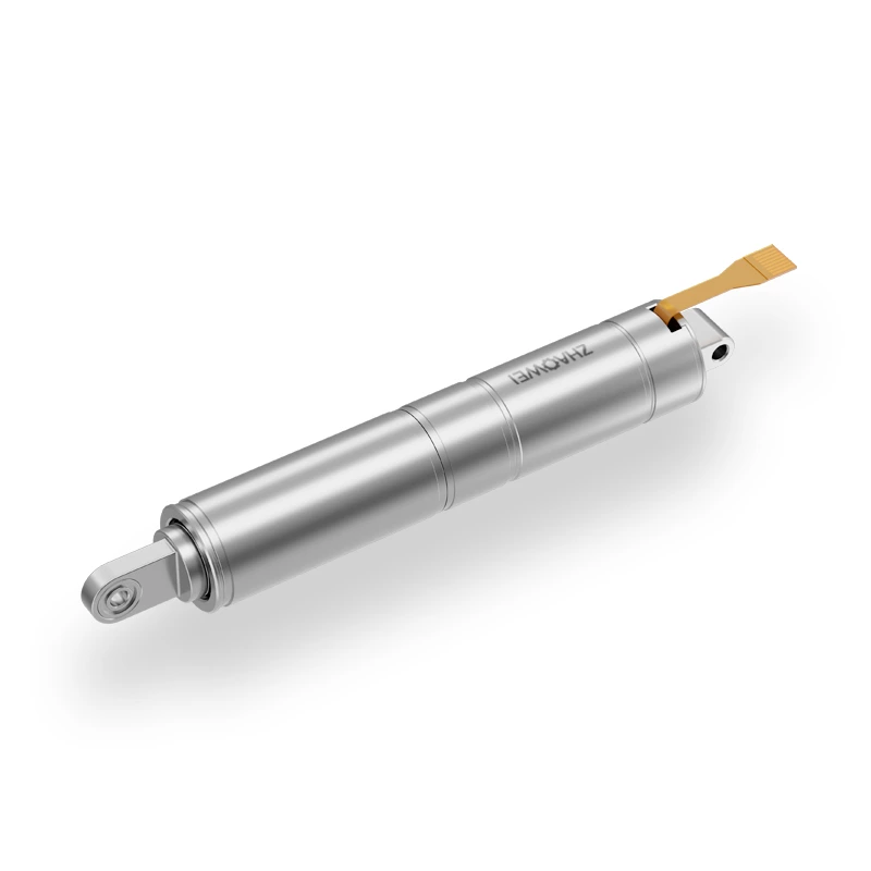 Linear Push Rod Motor For Palm